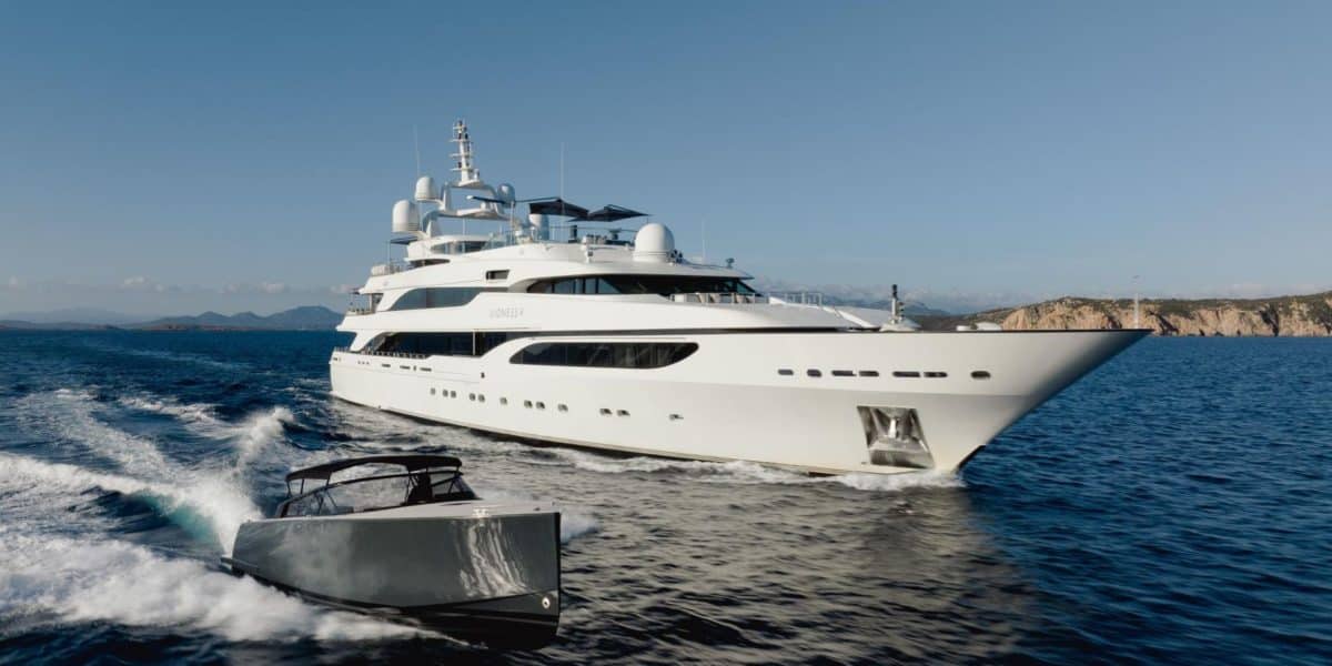 my-lionessV-benetti